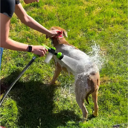 Pet Shower - Cleans your loved ones - Grooming tool - Car washing